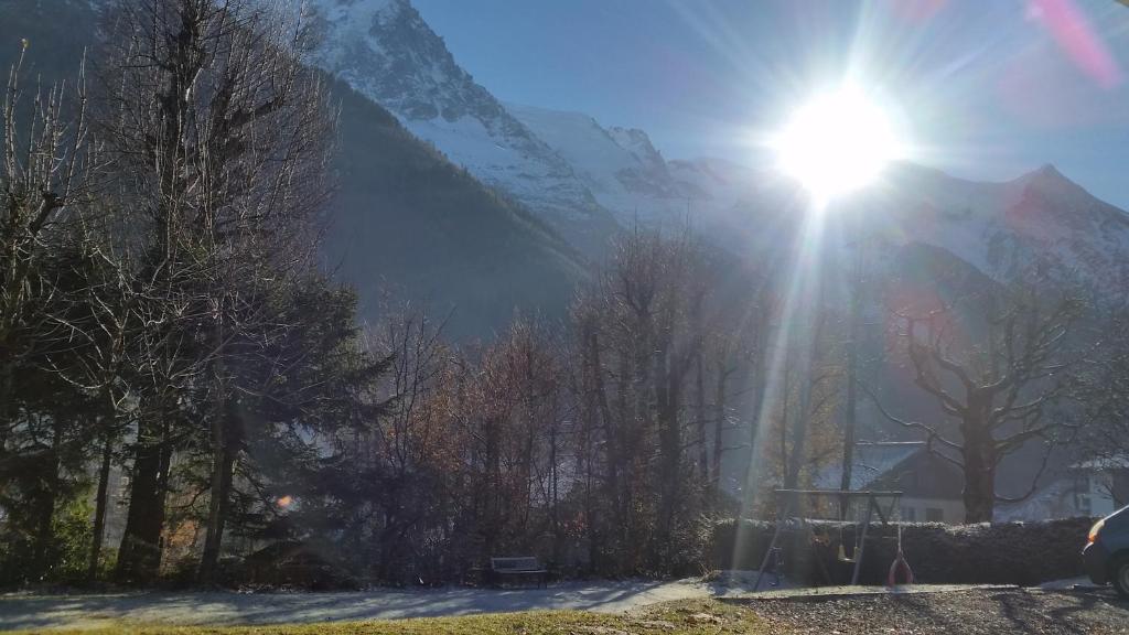 Апартаменты (Апартаменты с видом на горы), Chalet Apartment Chamonix