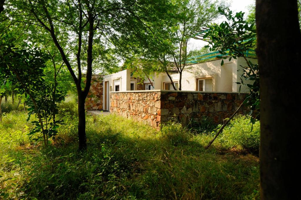 Trees N Tigers Luxury Wildlife Lodge photo 1