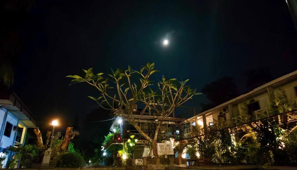 Sunbloom Beachfront Hotel and Restaurant Zambales - Tap to explore photos
