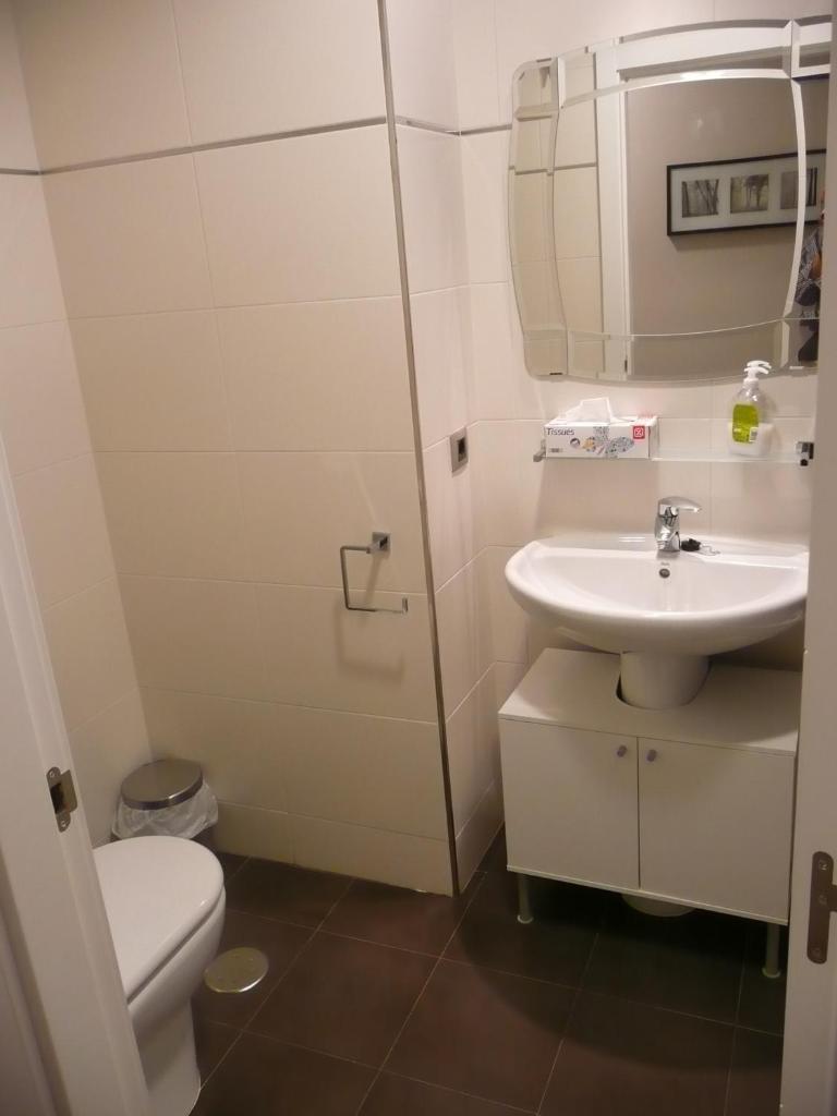 Апартаменты (Апартаменты), Salamanca Centro Apartamentos