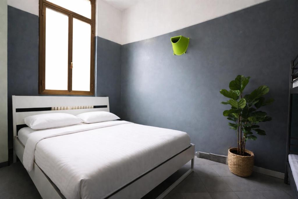 Koala Hostel, Milan