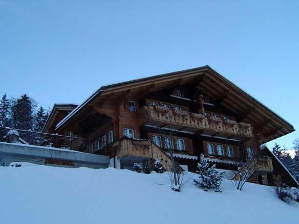 Chalet Spinne photo 2