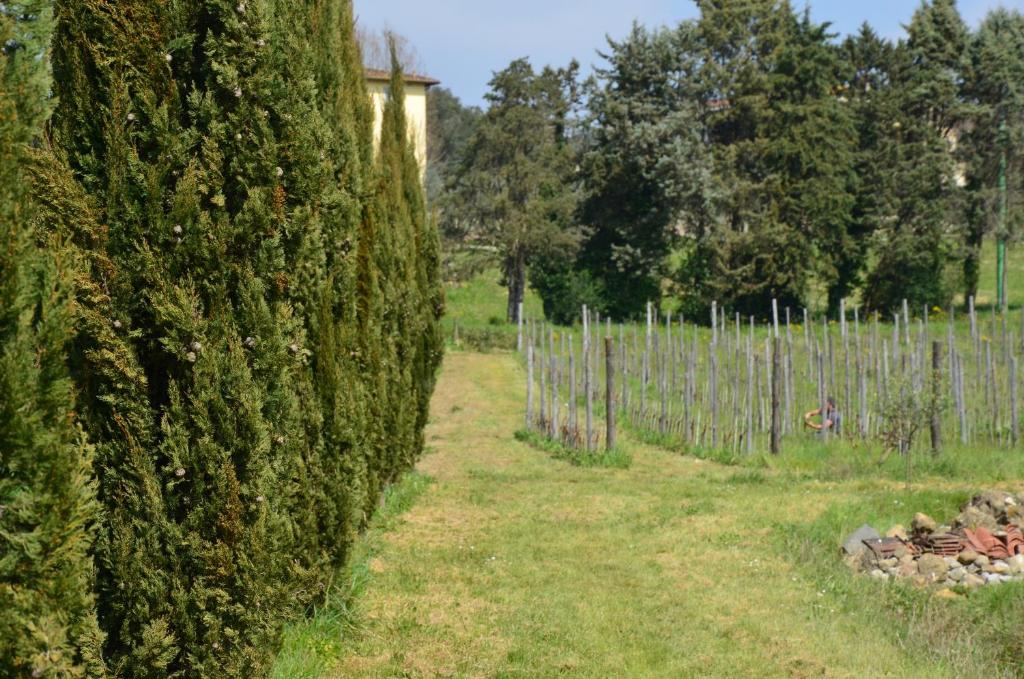 Agriturismo Al Podere Di Rosa photo 4