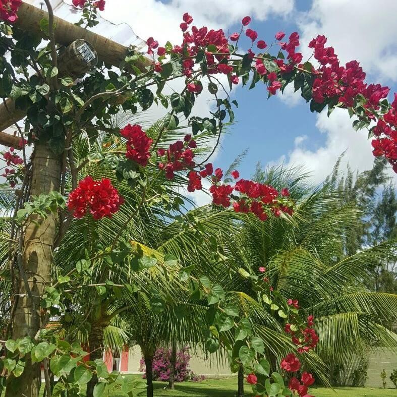 Pousada Macamirim photo 2