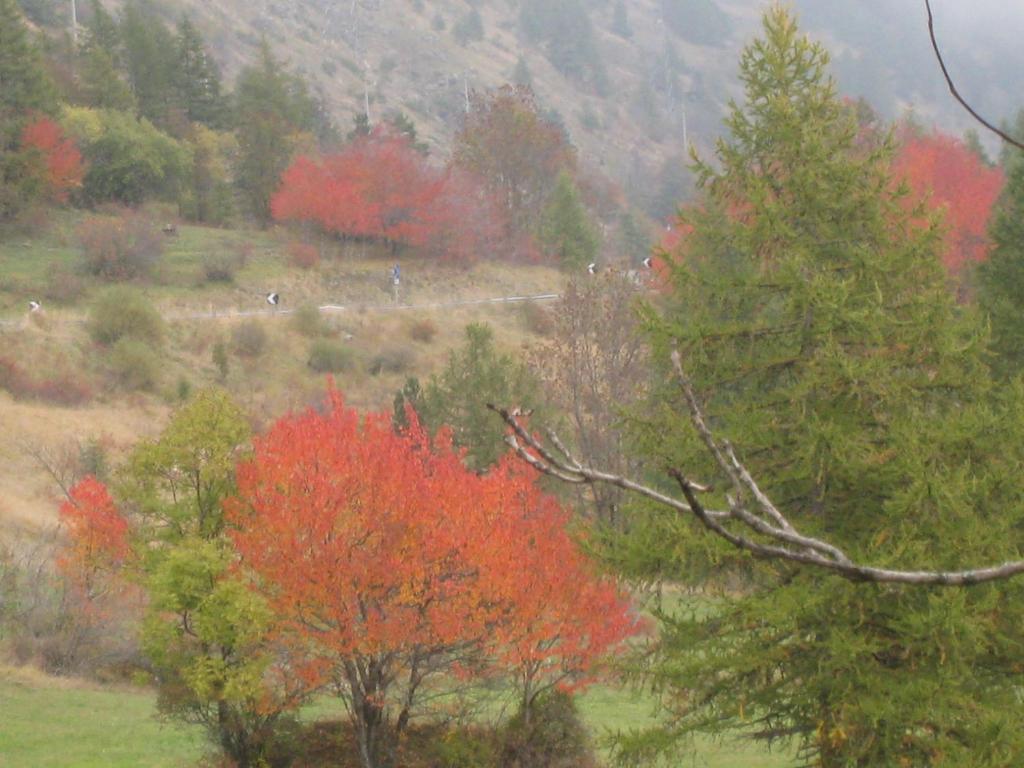 Hotel Villa Plinia photo 2