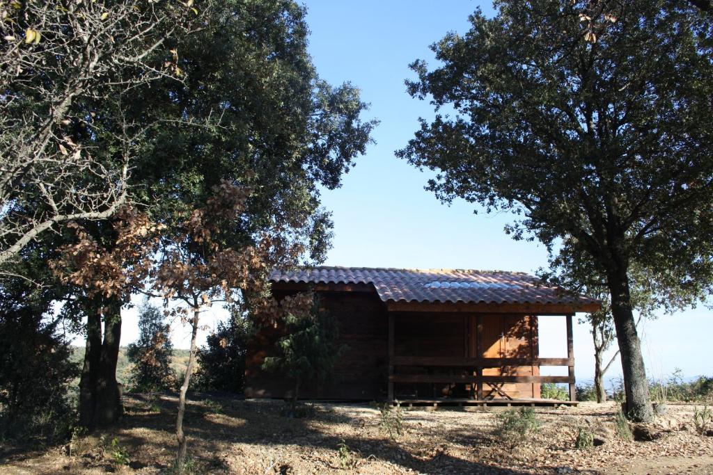 Les Chalets en Cévennes photo 2