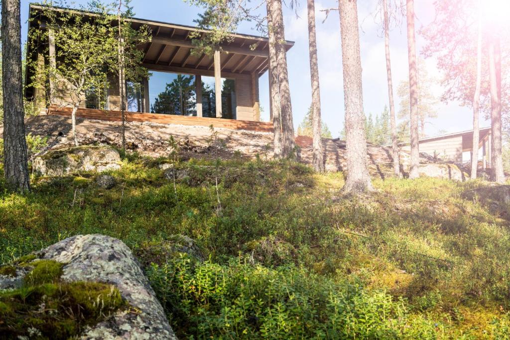 Номер (Арктический стеклянный дом), Arctic TreeHouse Hotel