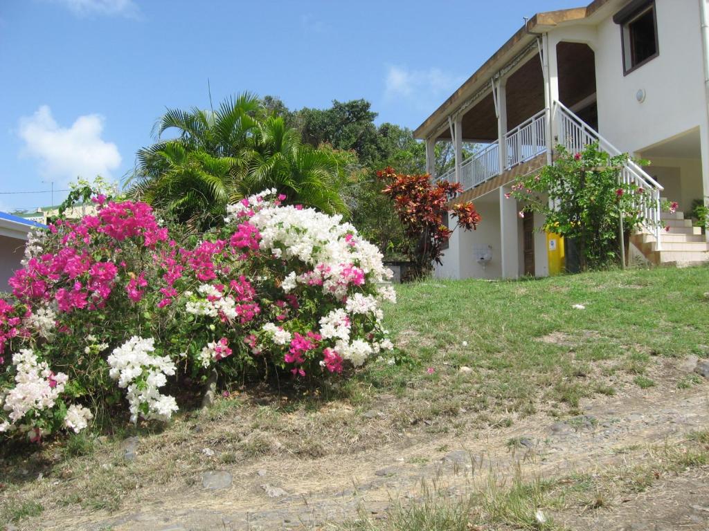 Cap soleil photo 3