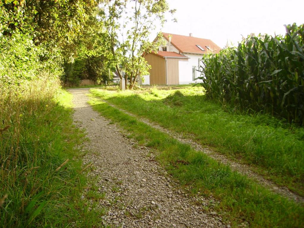 Wiflinger Graben Einfamilienhaus photo 1