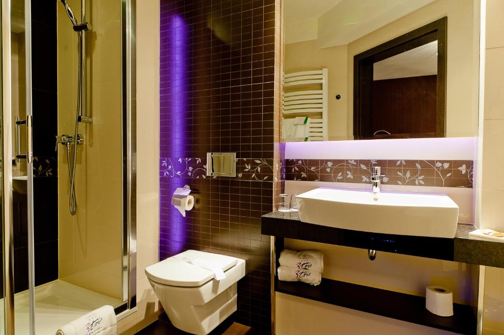 Двухместный (Представительский двухместный номер с 1 кроватью), Hotel 3 Trio