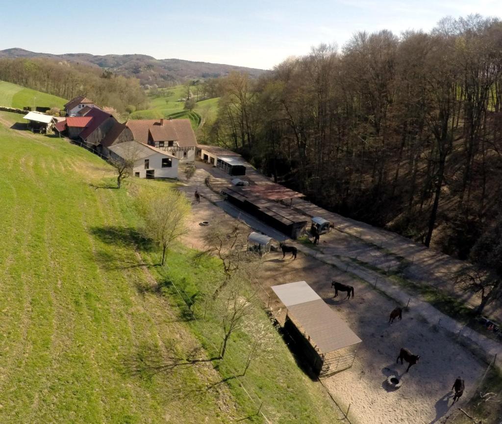 Pferdehof und Wanderreitstation Dörsam photo 3