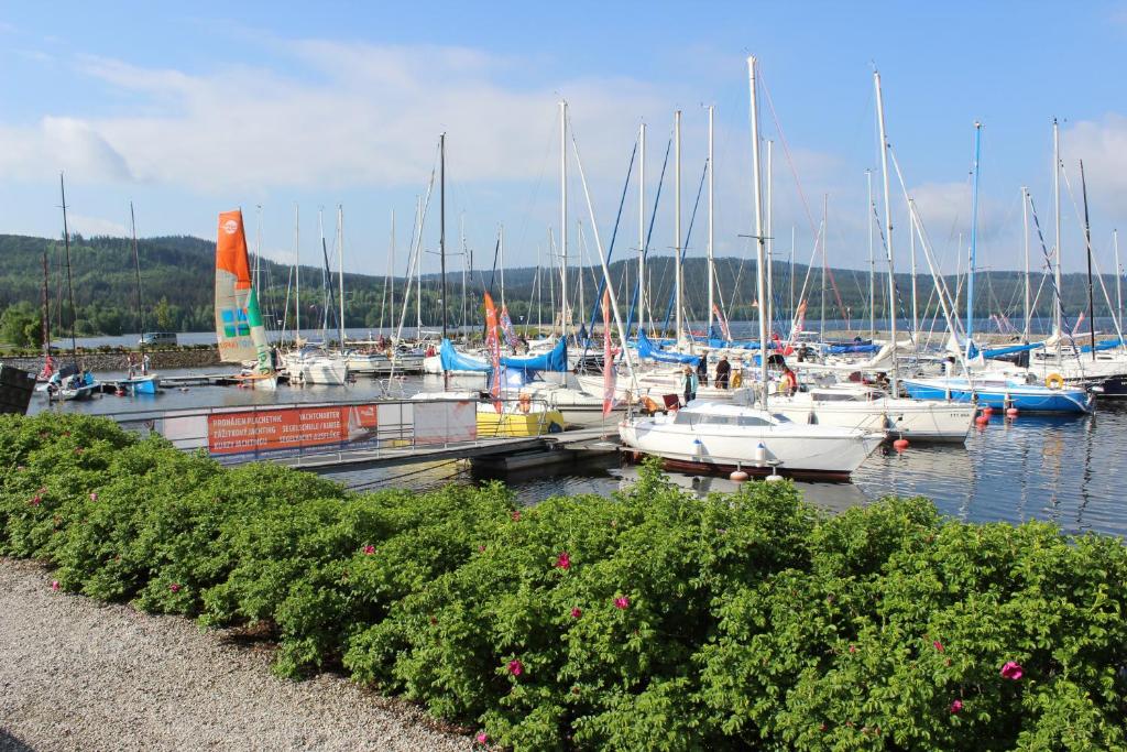 Номер (Дом для отпуска), Отель Park Lipno-Lipno-In