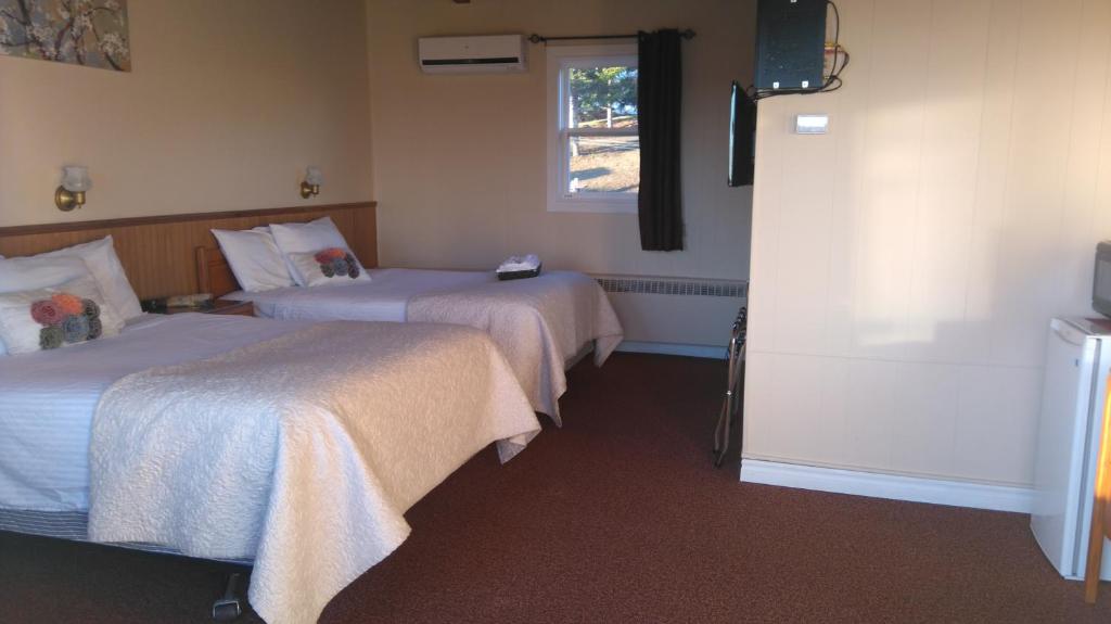 Oasis Motel photo 1