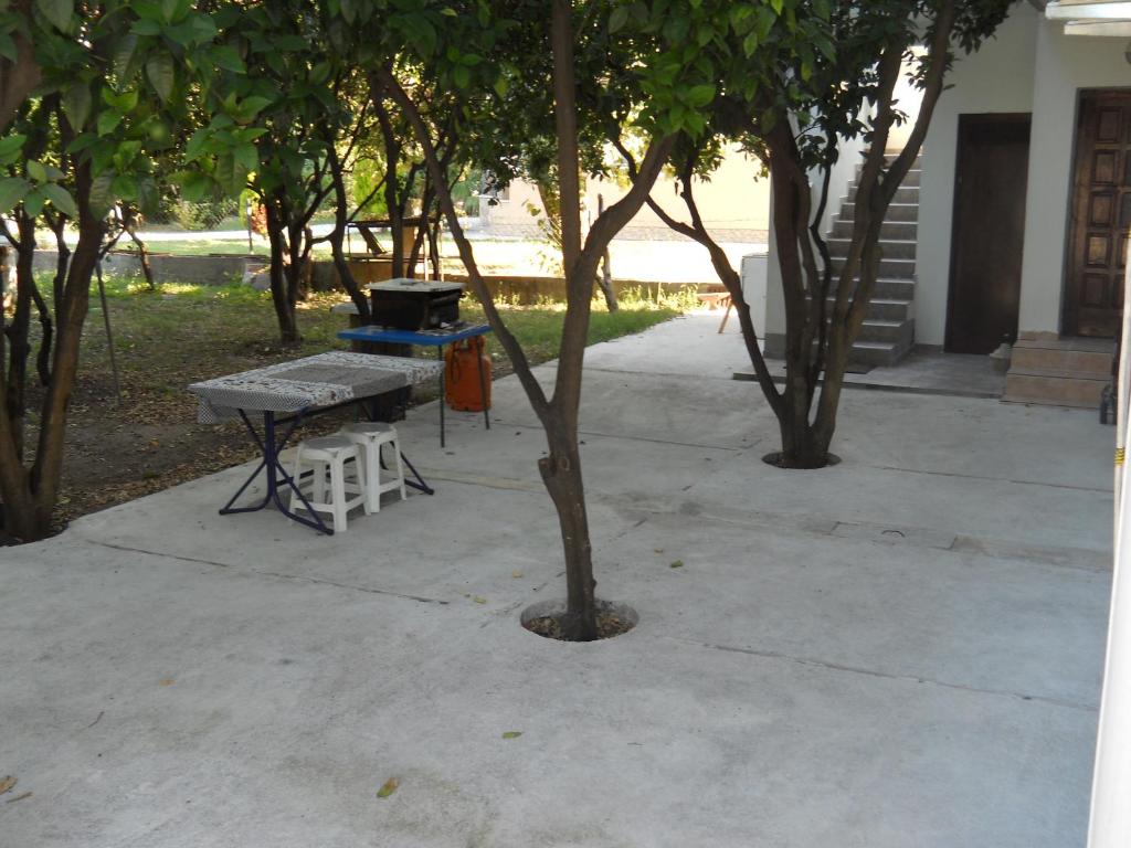 Apartments Ognjenović photo 4