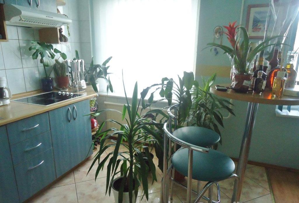 Puikus apartamentai photo 1