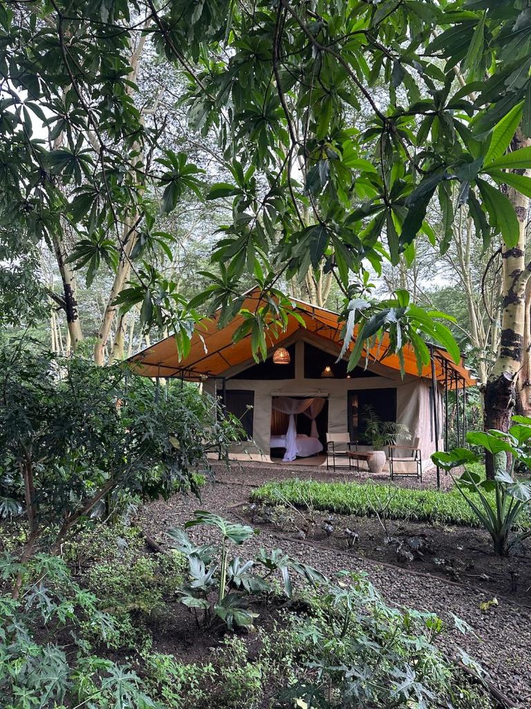 the Roost Tented Camp