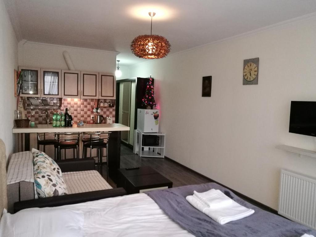 Studio Apartment in New Gudauri 2 photo 2