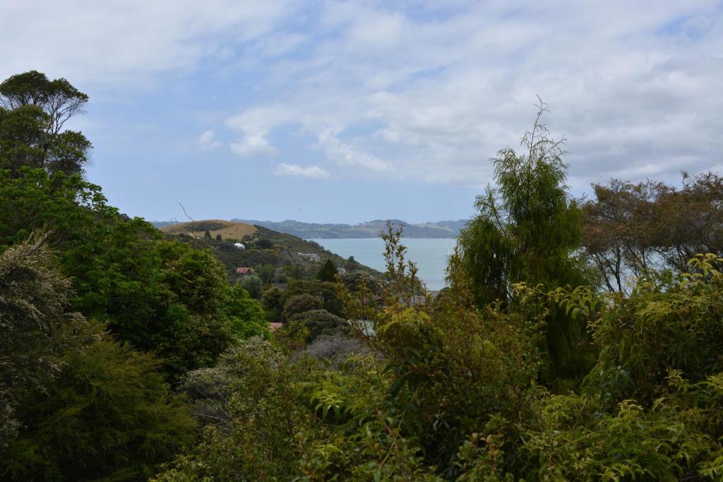 Treetops Cottage at the Castle photo 3