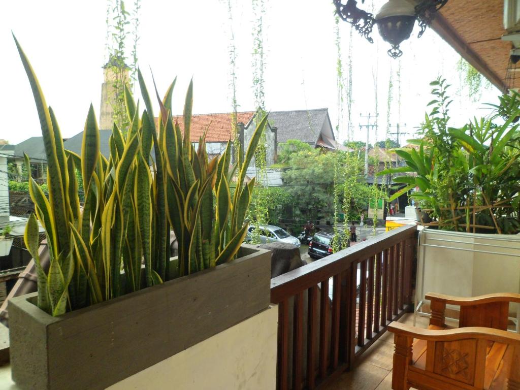 Двухместный (Стандартный двухместный номер с 2 отдельными кроватями), Nuriani Restaurant and Rooms