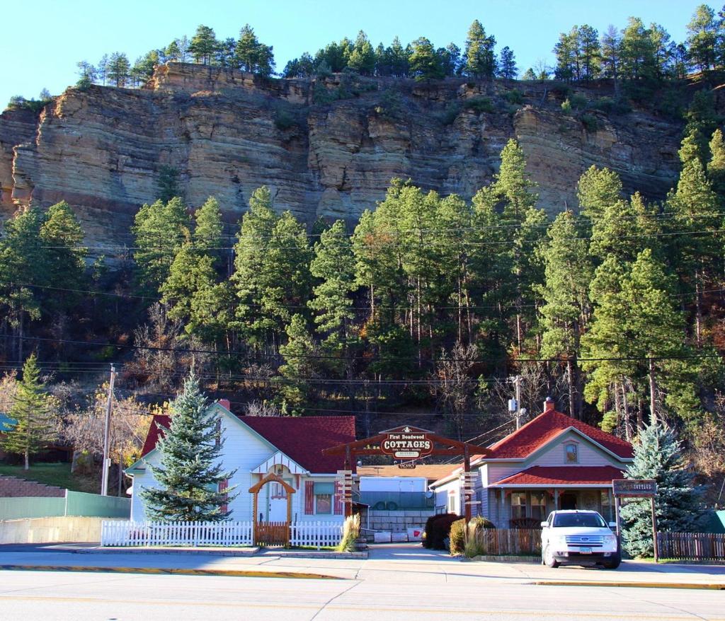 First Deadwood Cottages photo 4
