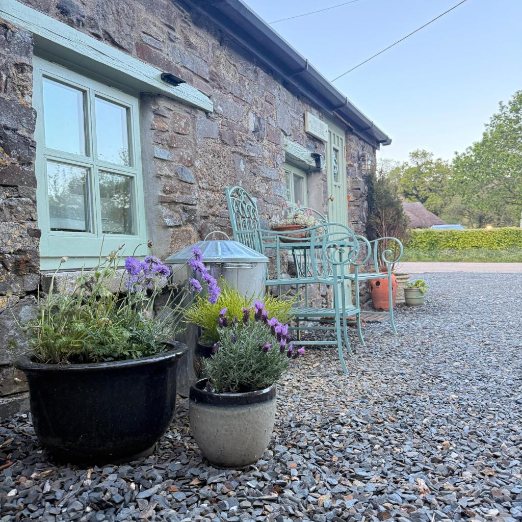 The Old Feed Store, Devon