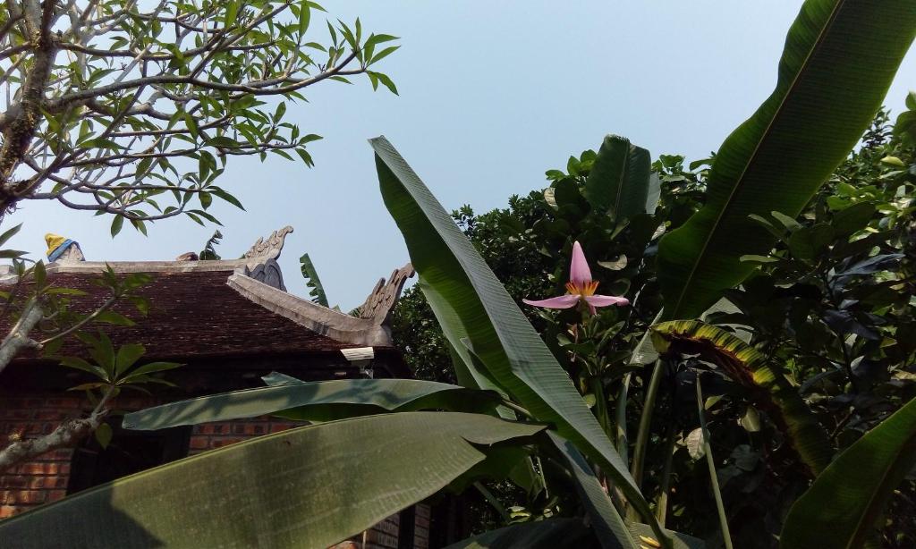 Tâm Tịnh Viên Homestay