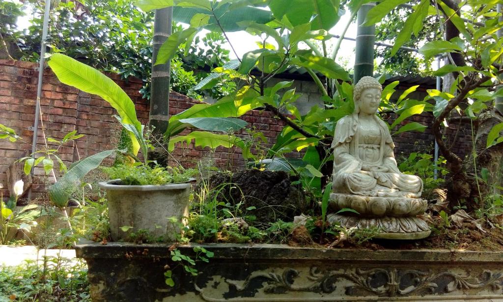 Tâm Tịnh Viên Homestay