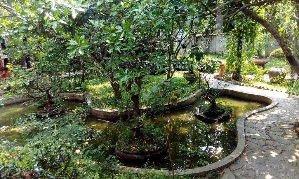 Tâm Tịnh Viên Homestay