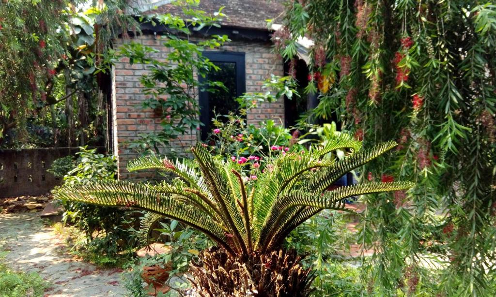 Tâm Tịnh Viên Homestay