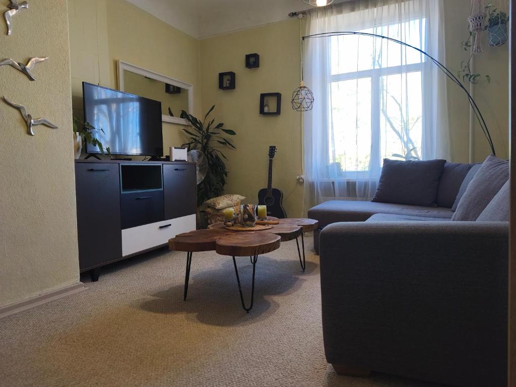Sunny Studio Apt Next to Park Near Center - Tap to explore photos