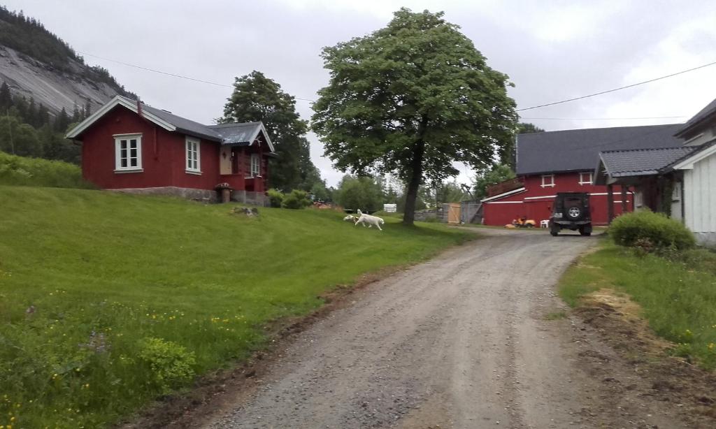 Telemark Inn - Hytte photo 2