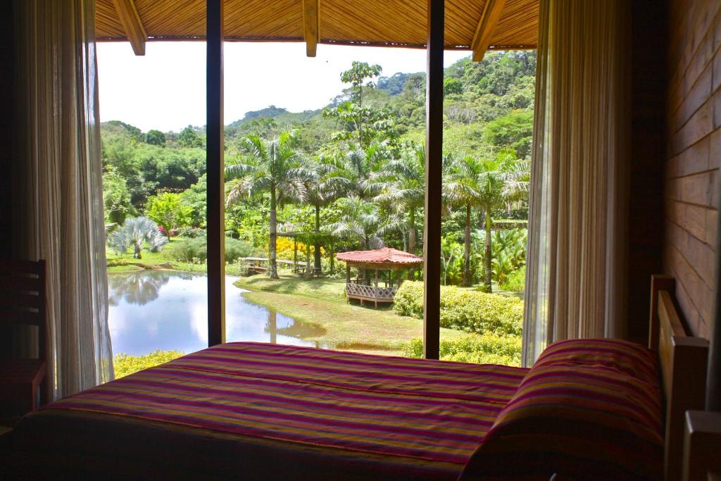 Macaw Lodge photo 2