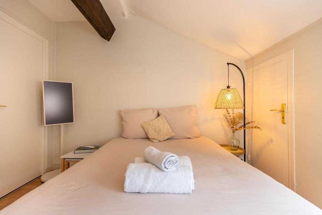 Magnifique Cocon Calme et Moderne en Hypercentre, Blois