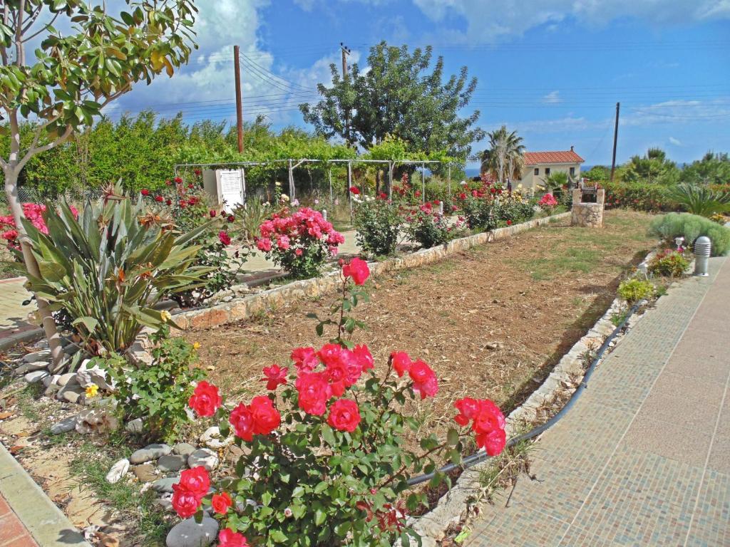 Eliofos Luxury Villa photo 3