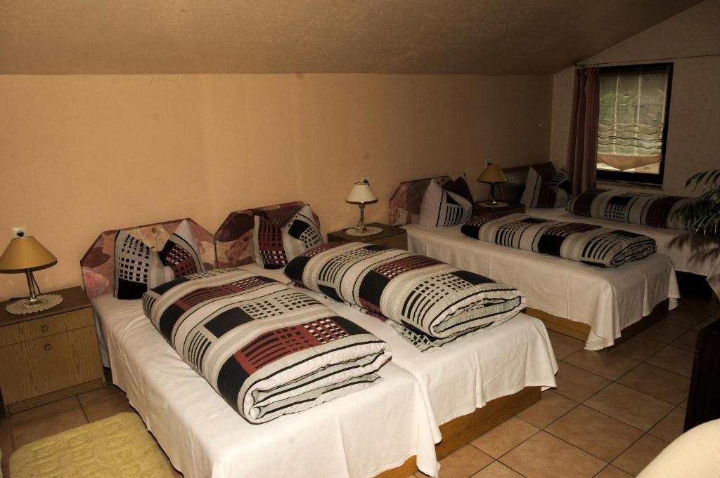 Caruso Pension und Pizzeria Room Type - Studio Apartment Erdgeschoss