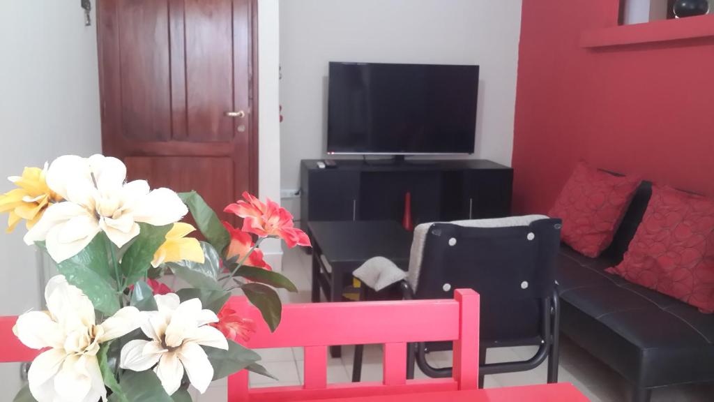 Apart Salta photo 2