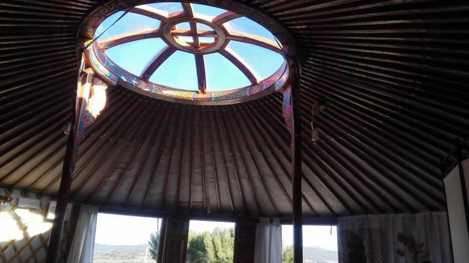 Campo de Reyes photo 3