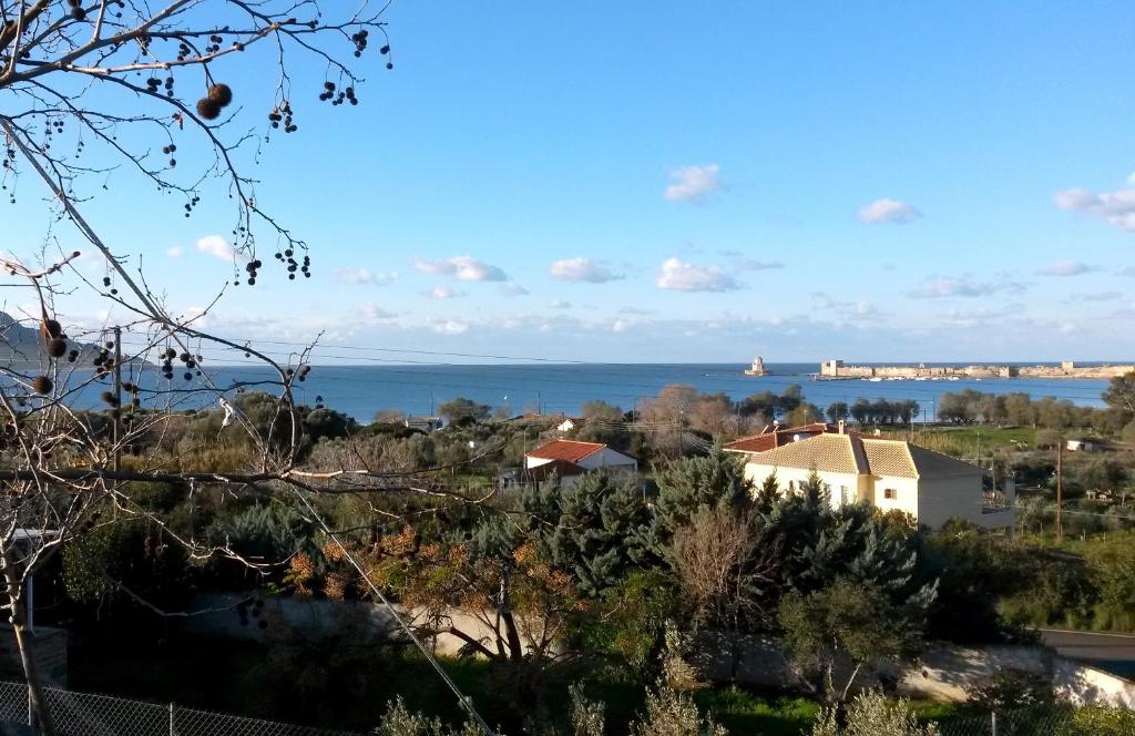 Blue Fort Villas photo 4