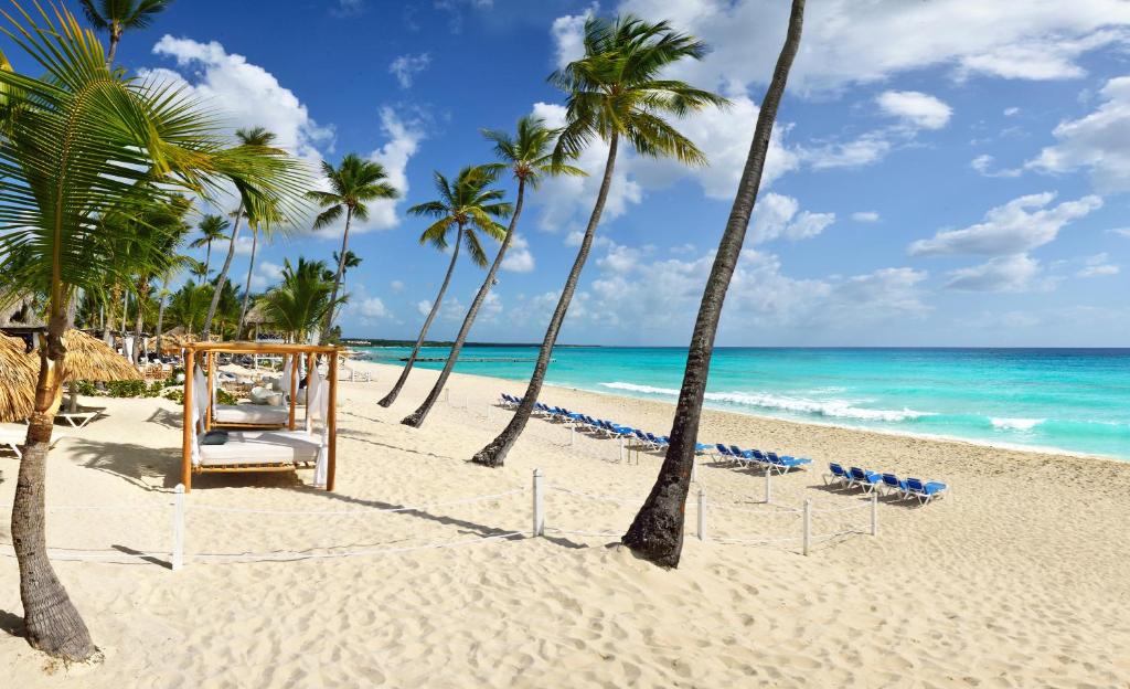 Catalonia Royal La Romana Adults Only - All Inclusive photo 3