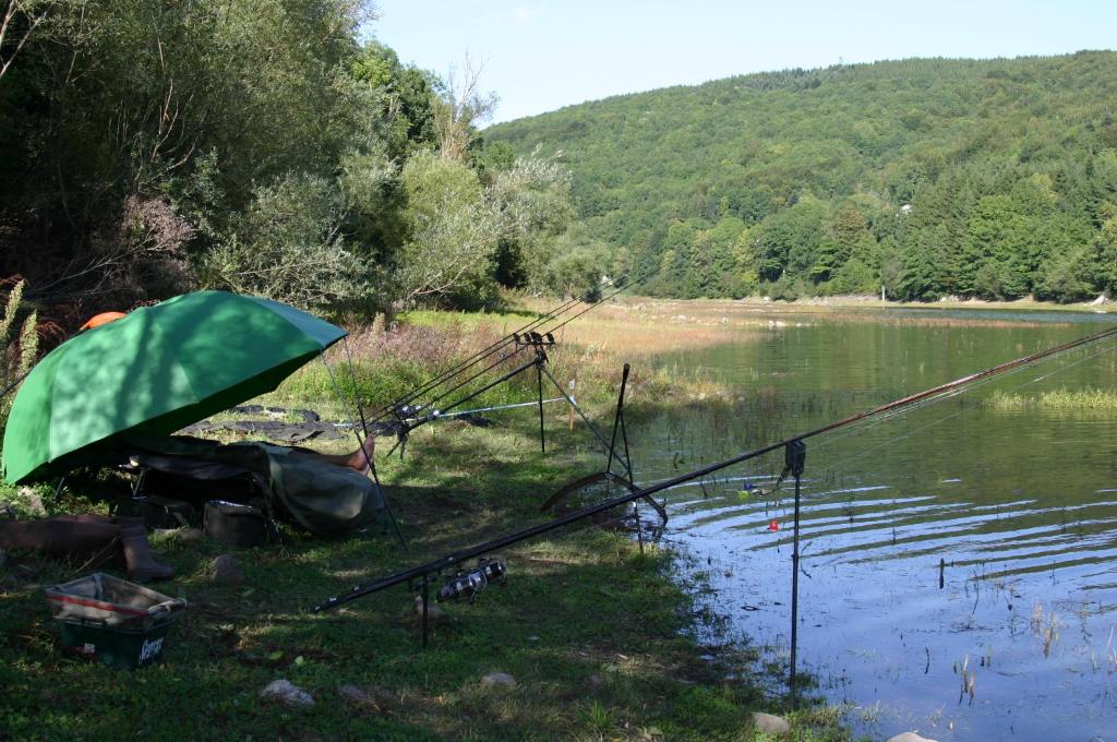 Gîte de Rouayras photo 4