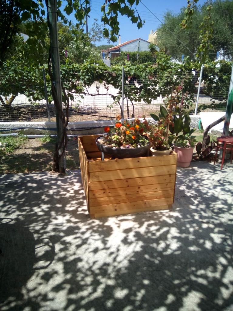 Ammos photo 3