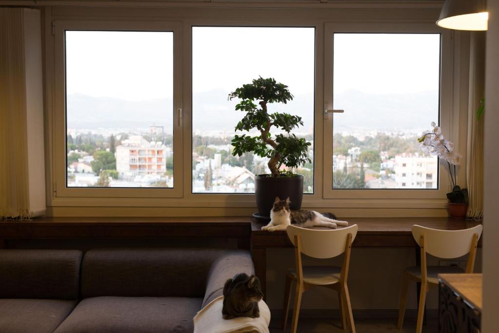 Vas' Penthouse photo 1