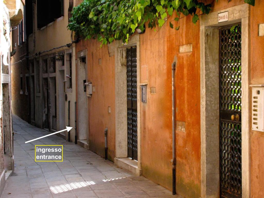 la levantina photo 2