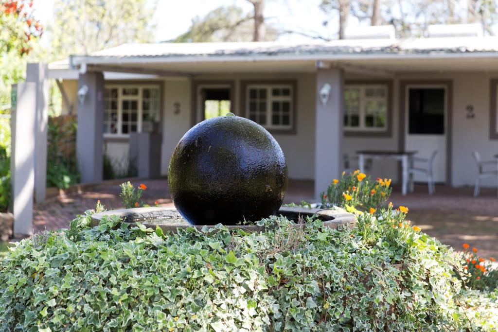 Nuwerus Lodge Paarl photo 3