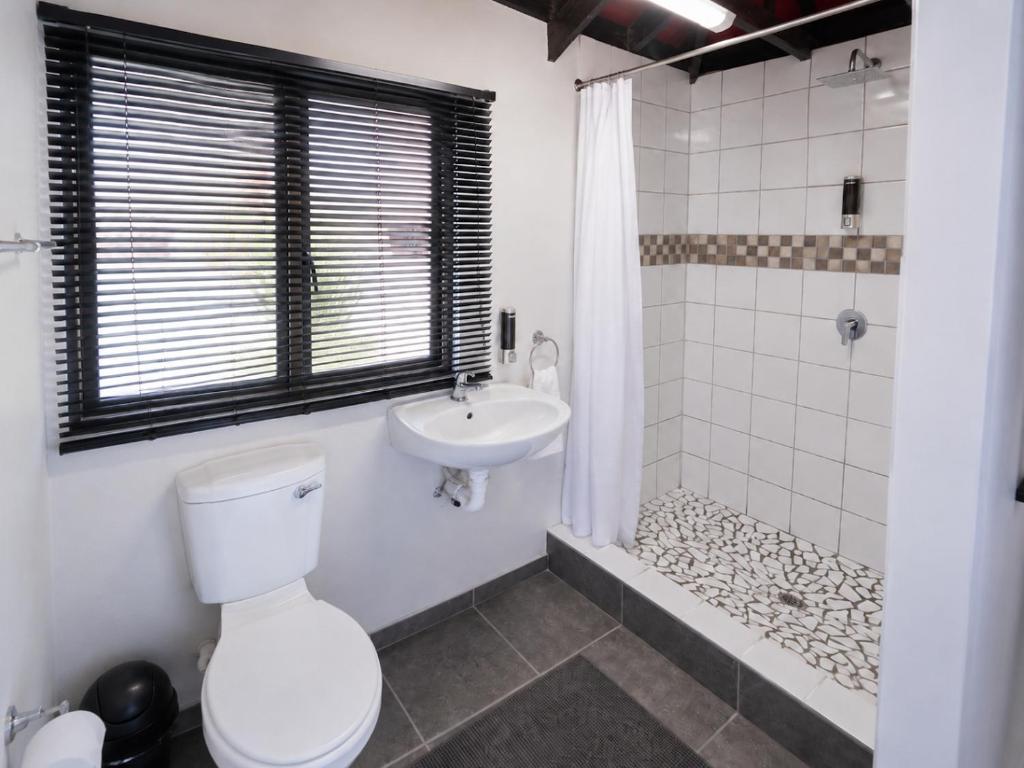 Royal Palms Guest House Room Type - Family Room with Shower