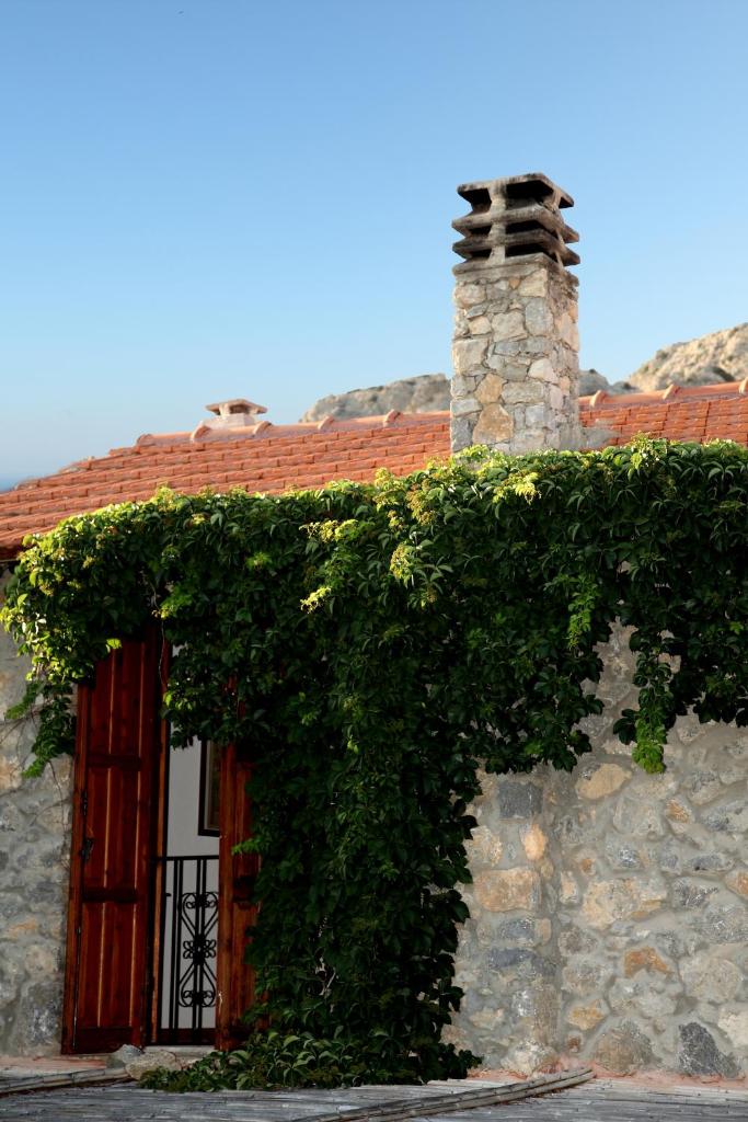 Emilio's House photo 4