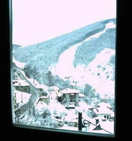 Eleni's Guesthouse photo 2