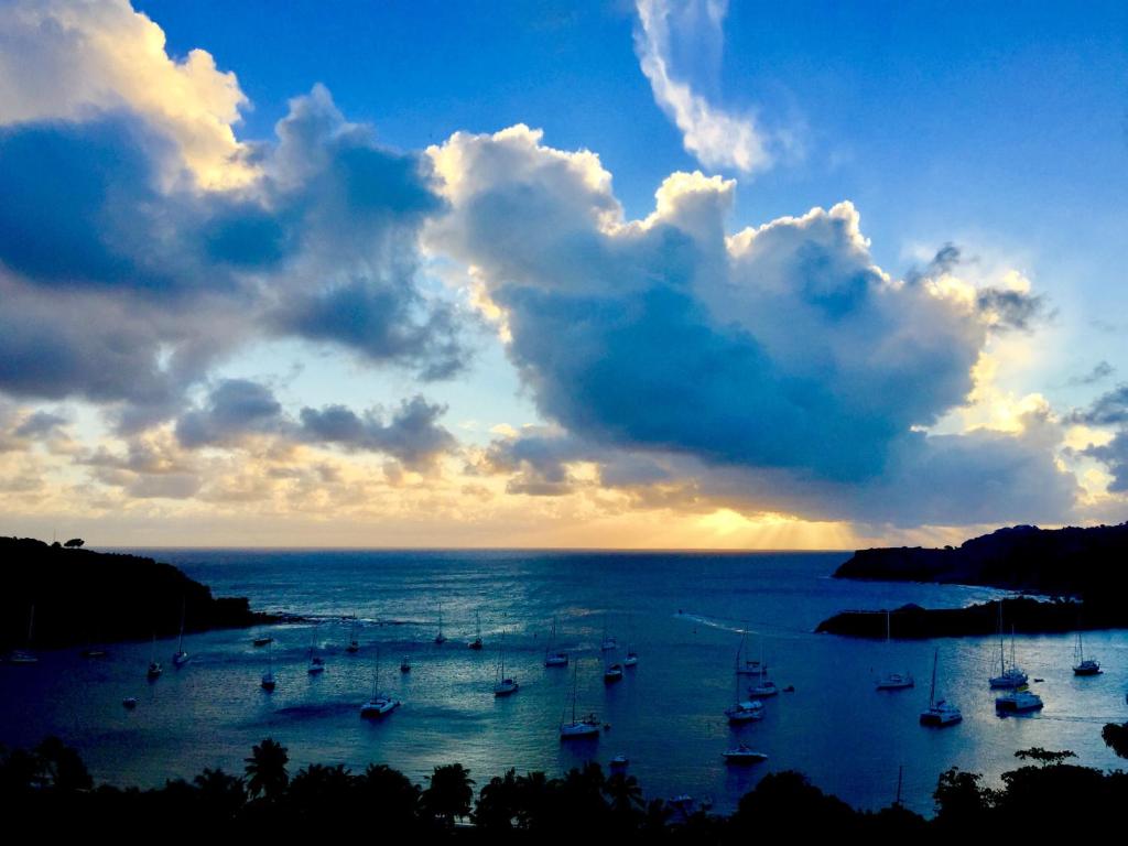 Blue Moon Antigua photo 1