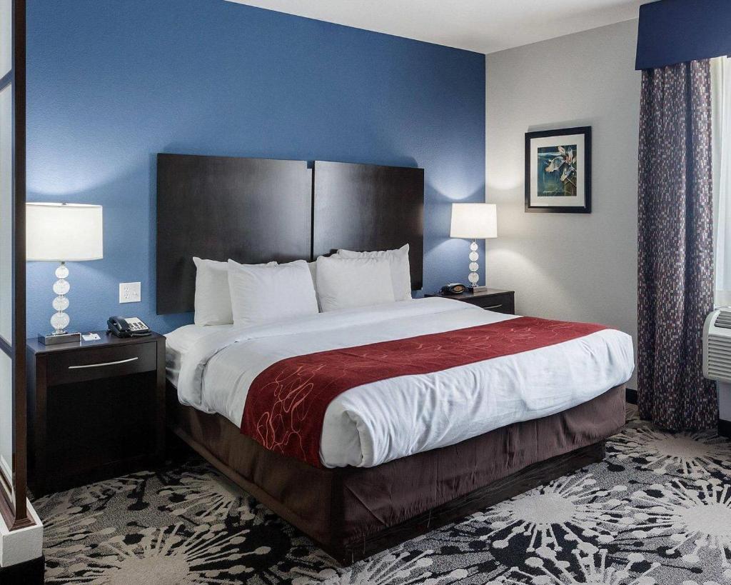 Comfort Suites Greenville - Tap to explore photos