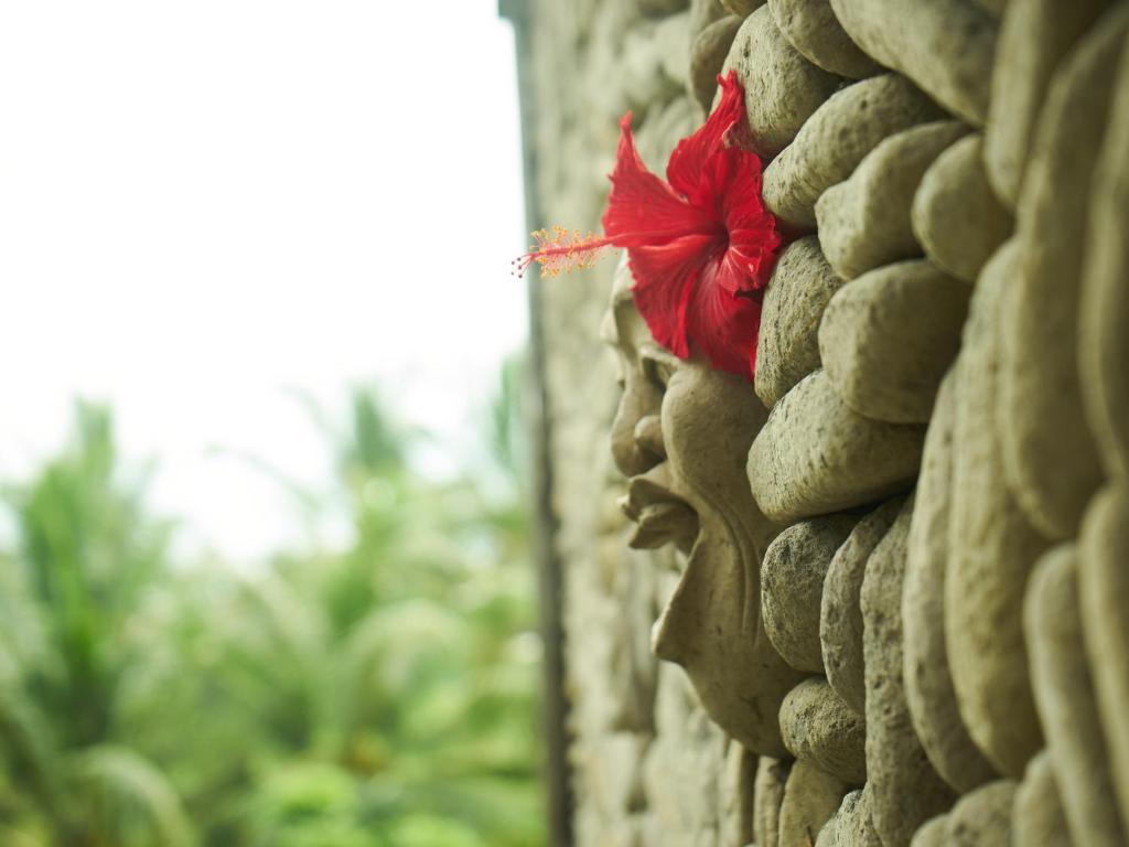Двухместный (Номер Делюкс с кроватью размера «king-size»), Eden House Ubud